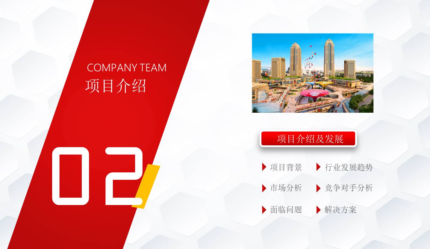 项目策划 (43).pptx